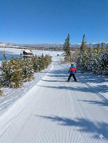 Image for: Beginner Ski - All day